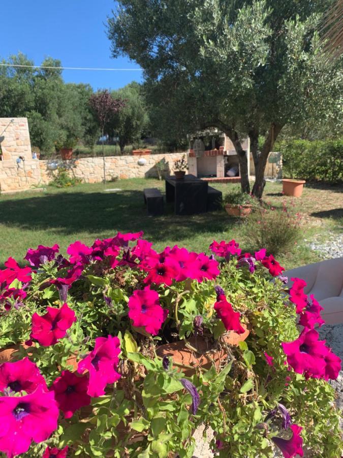 Villa Evita , Athytos Wonderful ,63M2,A/C Afytos Buitenkant foto