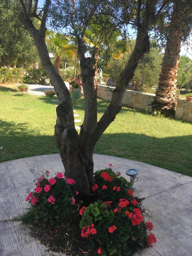Villa Evita , Athytos Wonderful ,63M2,A/C Afytos Buitenkant foto